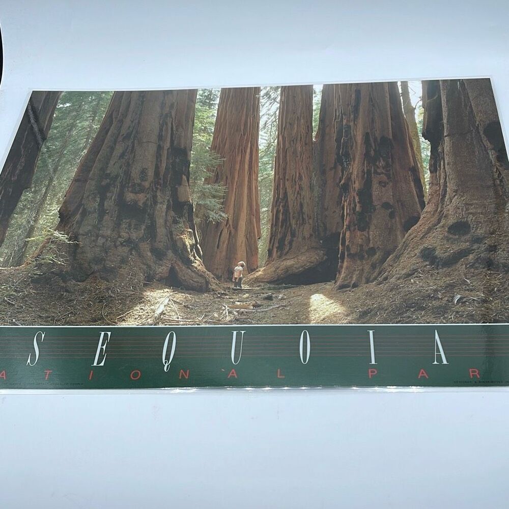 Vintage Souvenir placemat 2 sided Kings Canyon Sequoia N.P.